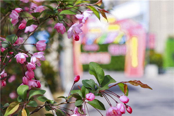 春暖花開，等你歸來——邀你云賞南新春景，以慰思念